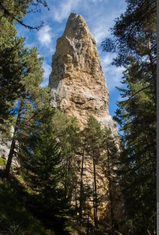 Les secrets de la forêt du Monolithe_Val-Cenis