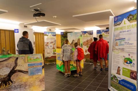 Visite commentée de l'exposition "La tribu des marmottes"_Val-Cenis - Visite commentée de l'exposition "La tribu des marmottes"