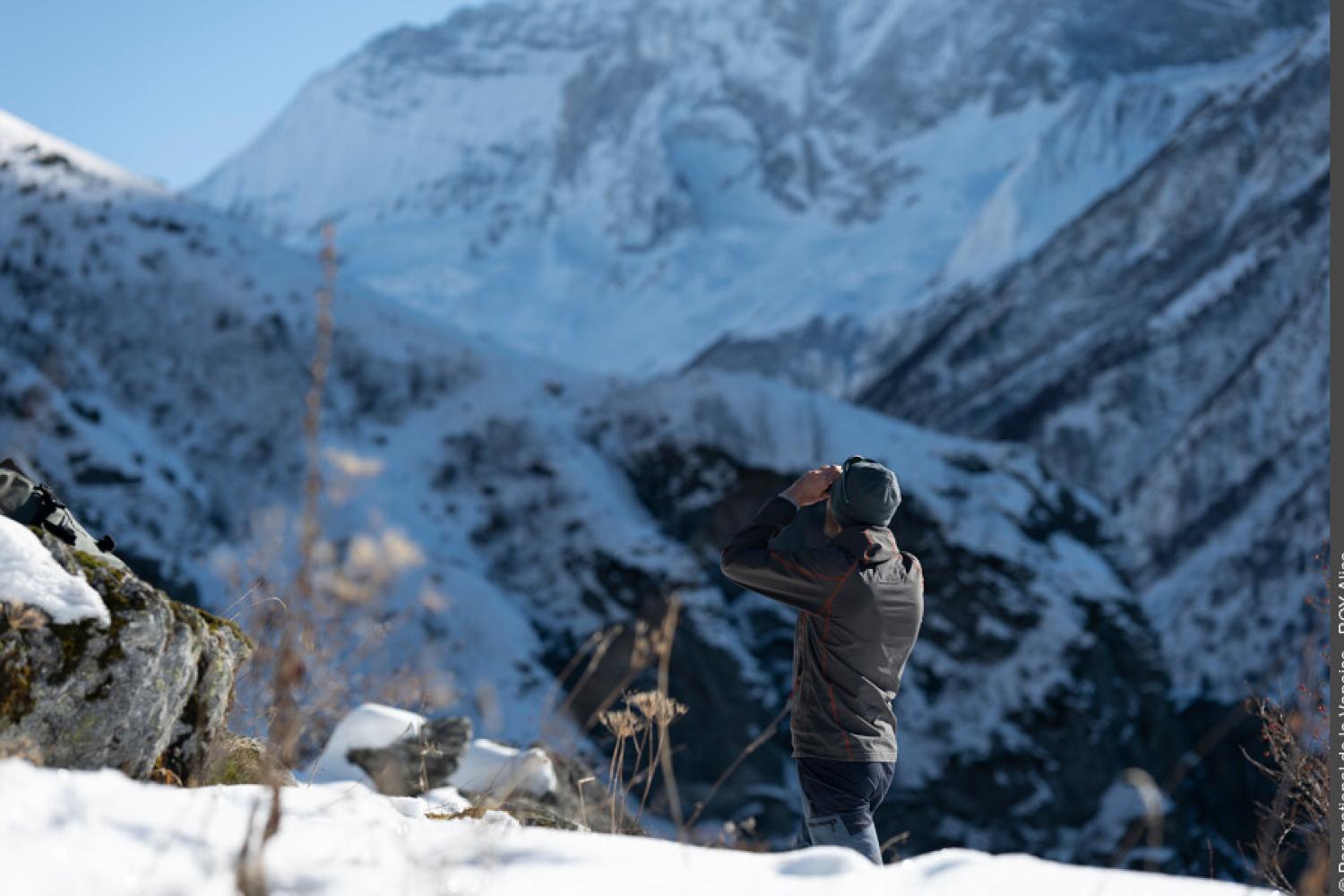 Observation faune sauvage