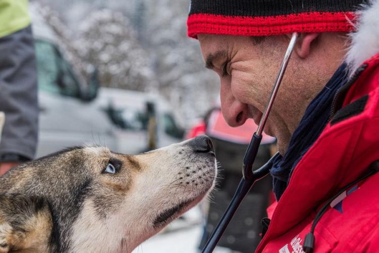 La Grande Odyssée VVF - Chien et vétérinaire LGO