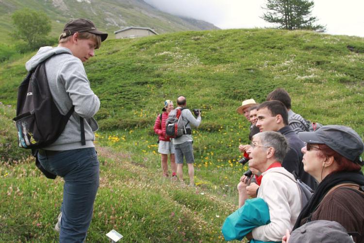 Le Jardin Alpin du Mont Cenis à Val Cenis - Le Jardin Alpin du Mont Cenis à Val Cenis