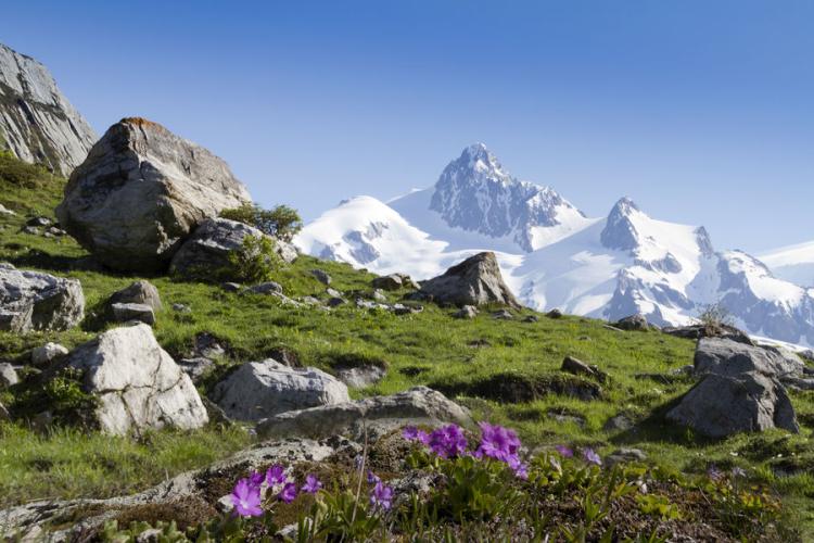 L'aiguille des Glaciers (3817m) - L'aiguille des Glaciers (3817m)