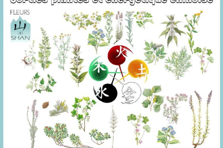 Initiation à la médecine chinoise à Val Cenis-Termignon - Herbier
